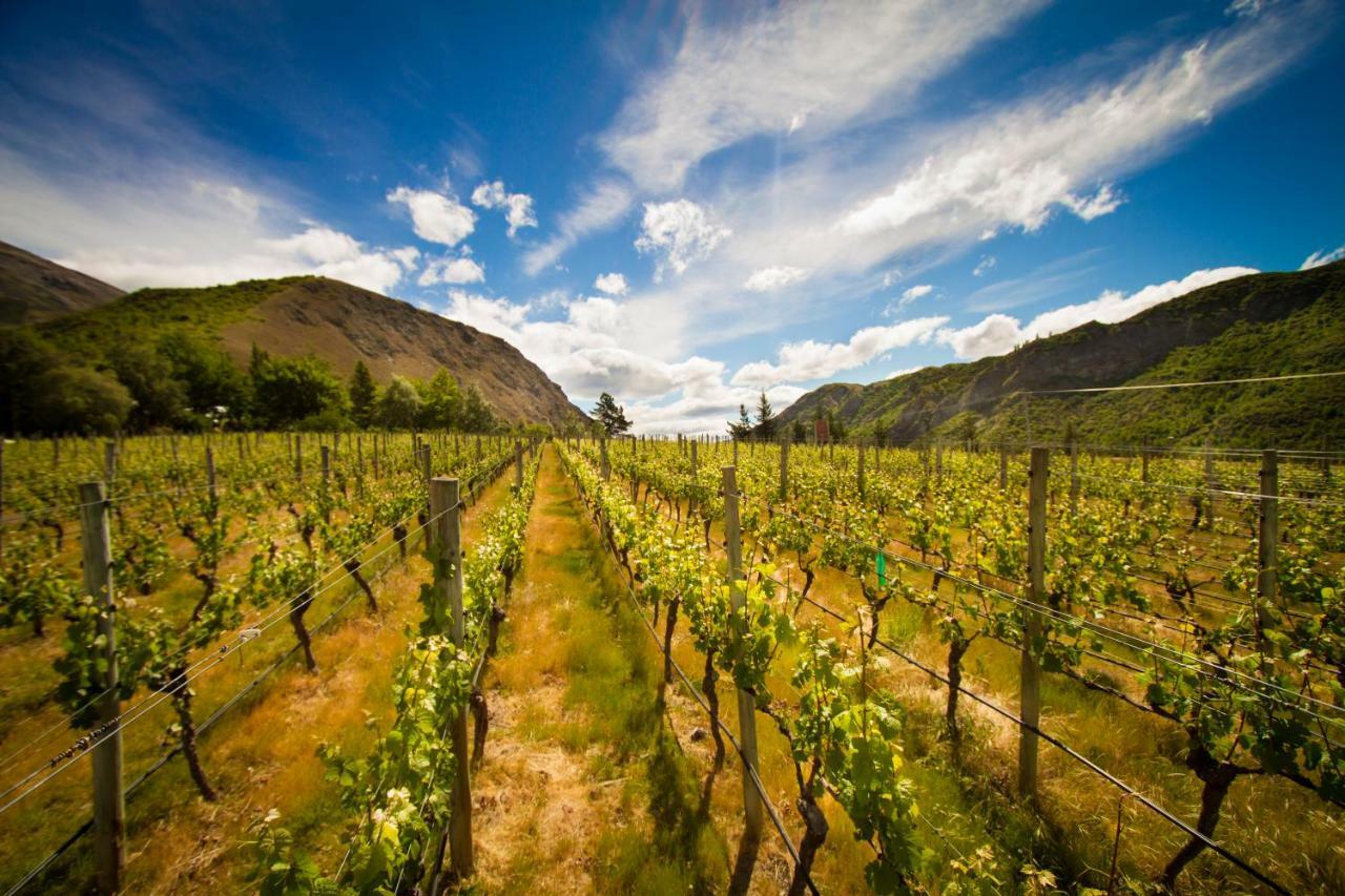Gibbston Valley And