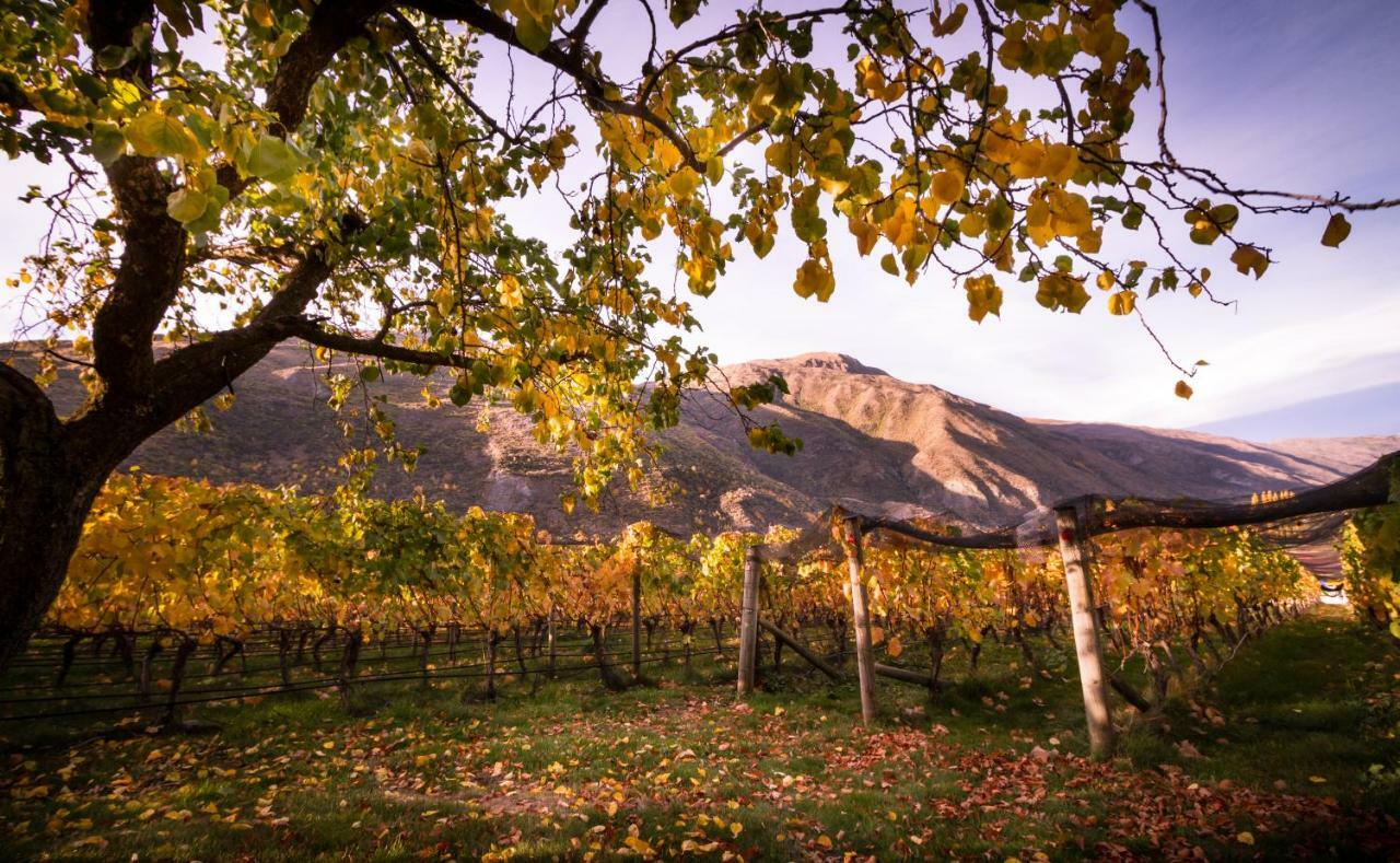 Gibbston Valley And Hotel Queenstown