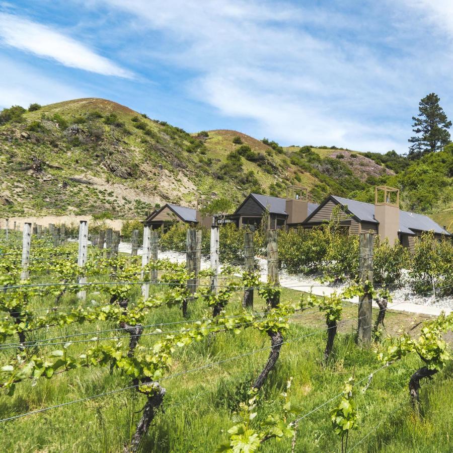 Gibbston Valley And 5* Queenstown
